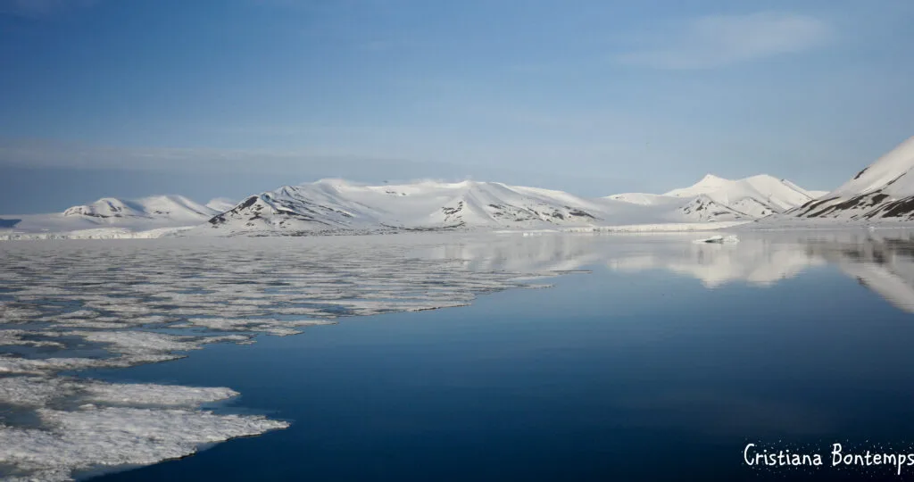 RENCONTRES EN ARCTIQUE