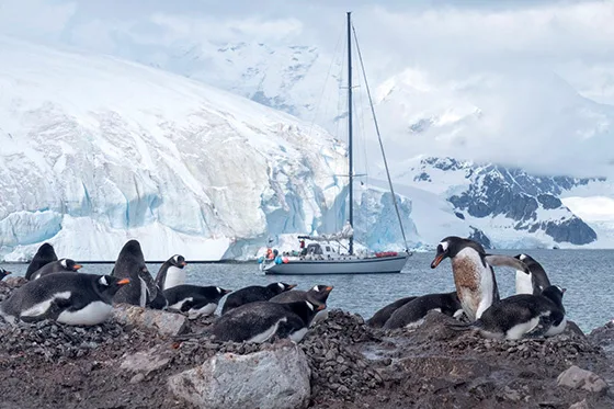 ANTARCTIQUE - L'ANTARCTIQUE !