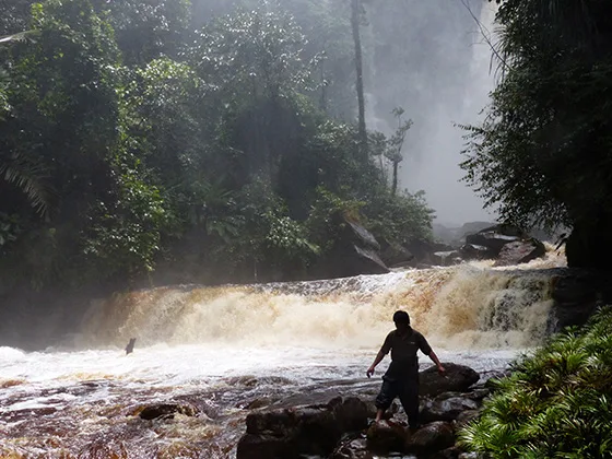 BORNEO - LES SECRETS DE LA JUNGLE DE BORNEO