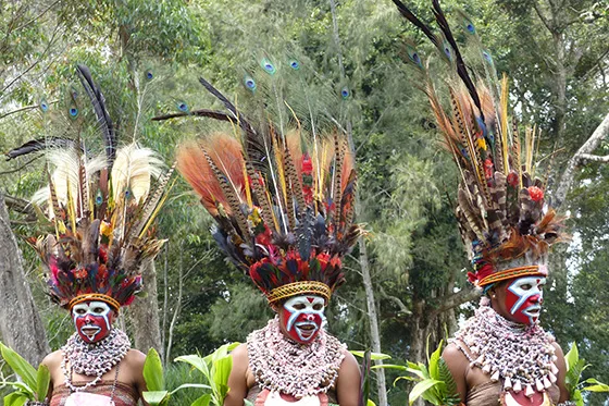 PAPOUASIE - LA PARADE NUPTIALE DE L'OISEAU PARADIS