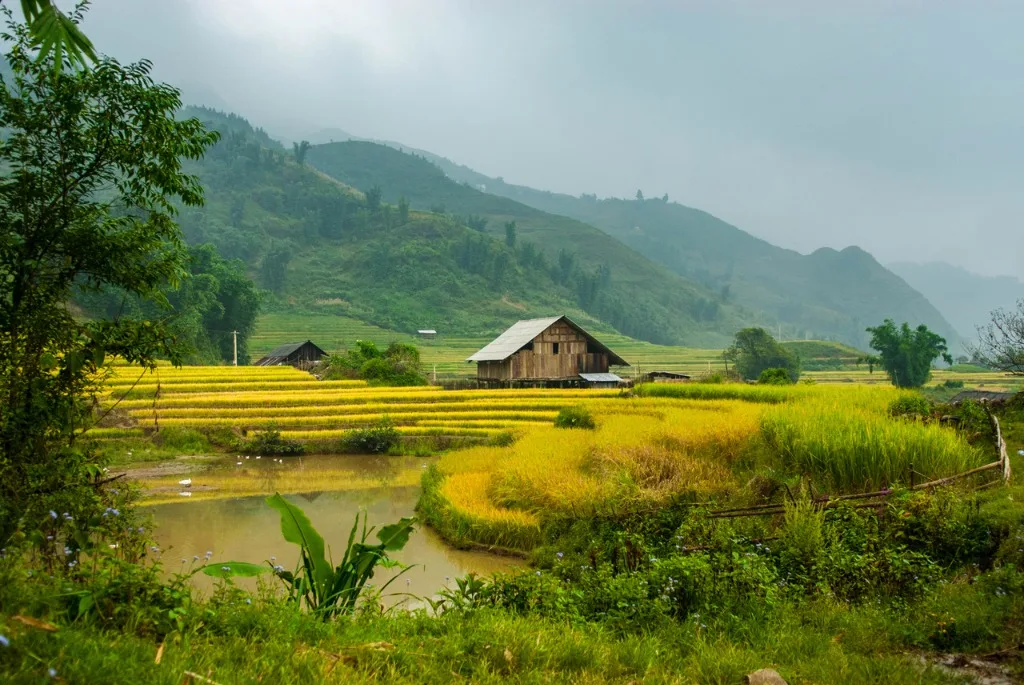 VIETNAM, ENTRE NATURE ET TRADITIONS